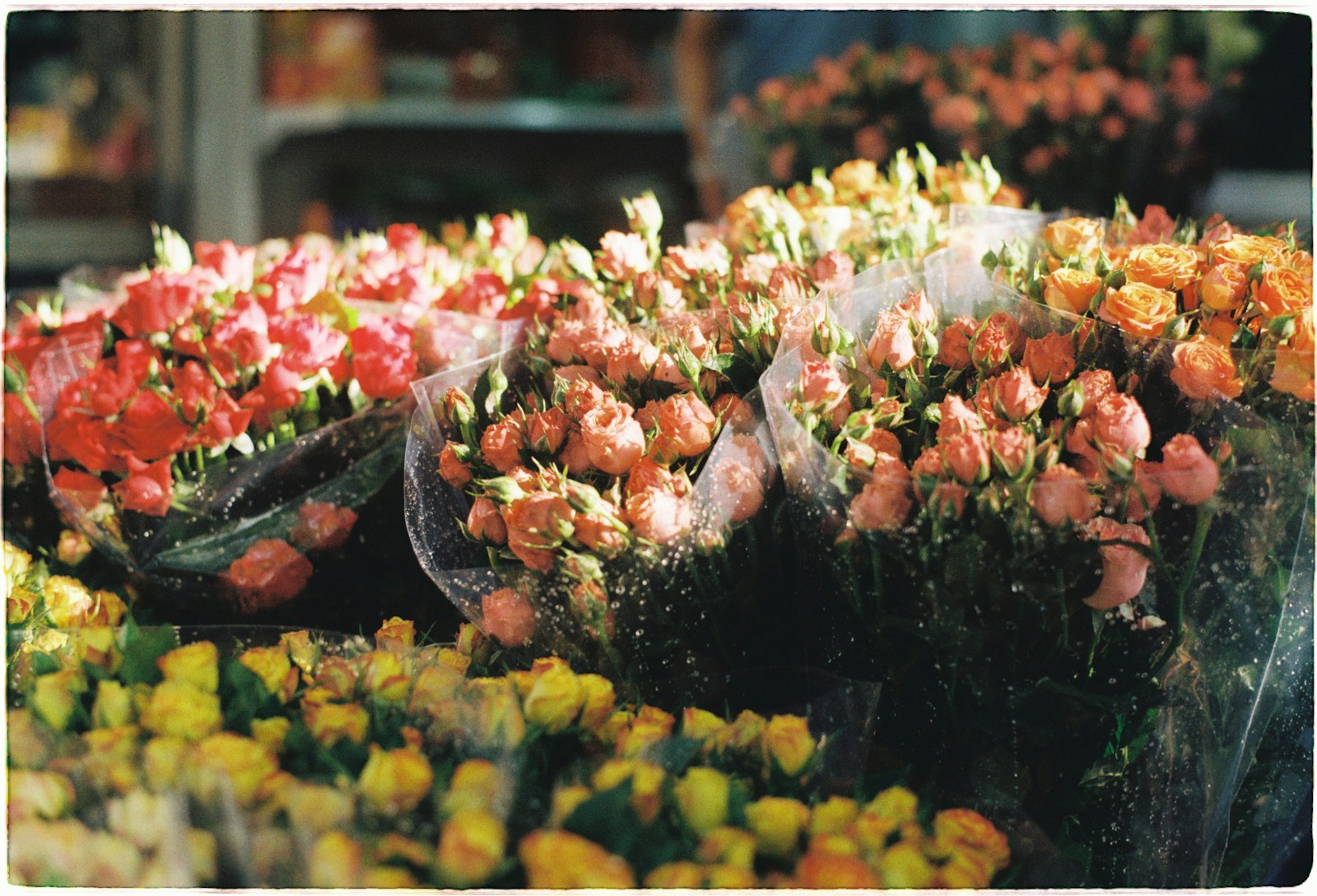 a bunch of flowers that are sitting on a table